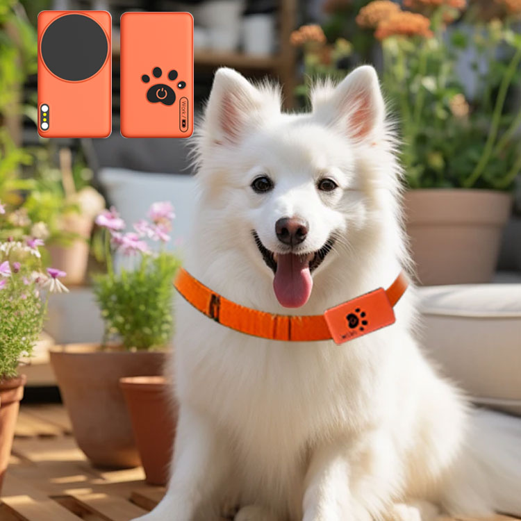 AI Wearable Pet Health Monitor – Breath Rate Monitor recenzja i cena